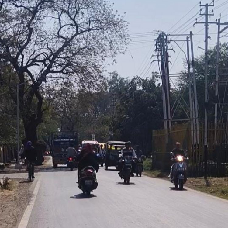 रतलाम में हवाओं ने कराया ठंड का अहसास:अधिकतम तापमान 31 डिग्री पर पहुंचा, 2-3 डिग्री तक गिर सकता है पारा