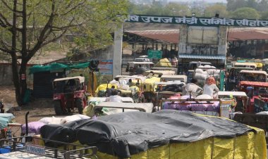 किसानों को 7 दिन में बनवाना होगा ऑनलाइन बिल:गेहूं उपार्जन की नई तिथियां जारी; 15 मार्च से 5 मई तक होगी खरीद
