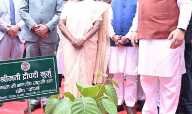 राष्ट्रपति द्रौपदी मुर्मु ने विधानसभा परिसर में किया कदम्ब का पौधरोपण