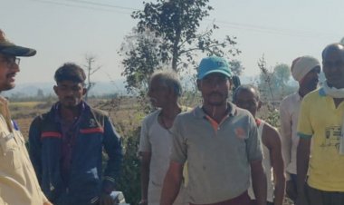 बांधवगढ़ में चरवाहे की मौत के बाद एक्शन:बाघिन की निगरानी के लिए हाथी बुलाए, 10 कर्मचारियों की टीम तैनात, ट्रैप कैमरे भी लगेंगे