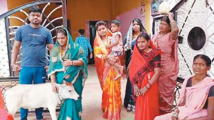 बछिया के जन्मोत्सव पर 300 मेहमानों को न्योता, सत्यनारायण कथा और शानदार दावत