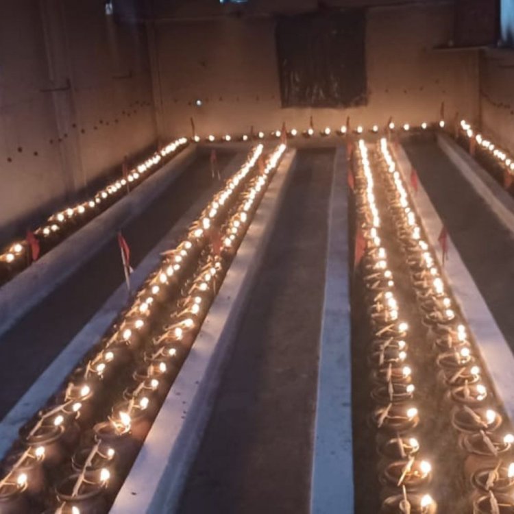 कलबोड़ी में जगमगा रहे अखंड मनोकामना ज्योति कलश:26 जिलों से आए श्रद्धालुओं ने की 463 कलशों की स्थापना, आज होगी विशेष पूजन