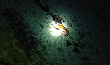 नर्मदापुरम में पहाड़ी के पास में पानी में मिला शव:10 दिन से लापता था शख्स; आधार कार्ड और मोबाइल से हुई पहचान