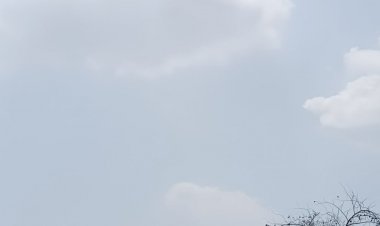 चंदेरी में 7 और मुंगावली में 2 मिमी बारिश दर्ज:अशोकनगर में उमस भरी गर्मी से लोग परेशान; तापमान में वृद्धि का अनुमान