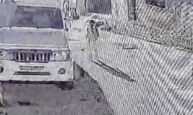 शाजापुर में 8 साल की बच्ची को कुत्ते ने काटा:राजनगर में पड़ोसी का पालतू कुत्ता कर रहा हमला; CCTV में कैद हुई वारदात