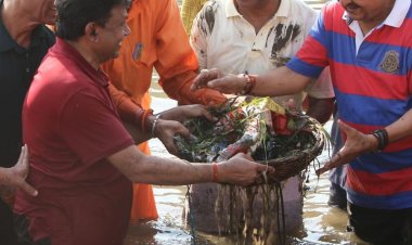 मंत्री विजयवर्गीय ने की मंदाकिनी की सफाई:नदी के किनारे होगा बड़ा वृक्षारोपण; 40 किमी क्षेत्र में लगेंगे 5 लाख पौधे