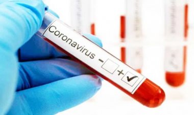 फिर डराने लगा कोरोनाअहमदाबाद में मिले 20 मरीज, महाराष्ट्र, केरल में तेजी से बढ़ रहे केस, दिल्ली में एडवाइजरी जारी; देश में अब तक 312 मामले