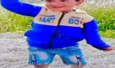 करंट लगने से 5 साल की बच्ची की मौत:मां के साथ खेत से लौटती पिंकी का बायर पर पड़ा पैर, पुलिस ने शुरू की जांच