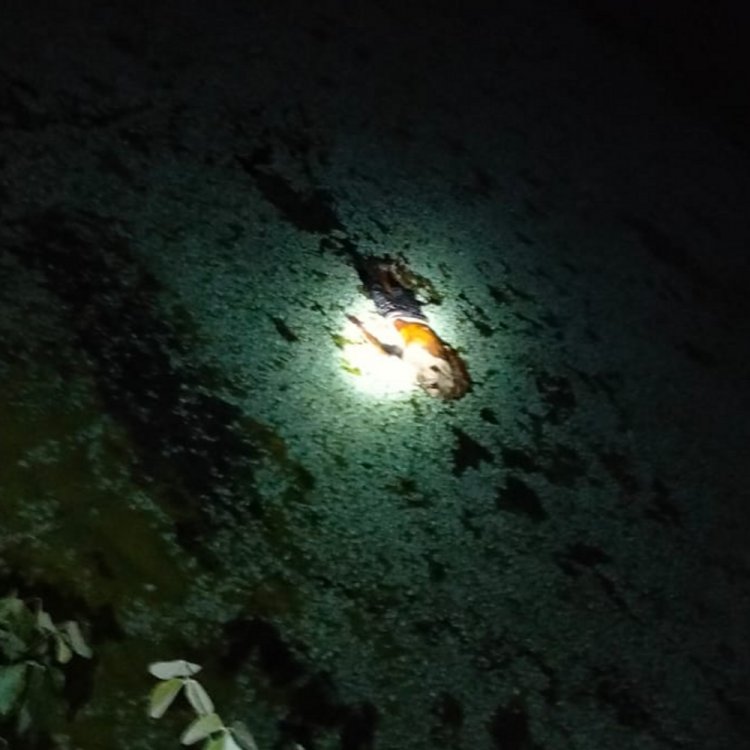 नर्मदापुरम में पहाड़ी के पास में पानी में मिला शव:10 दिन से लापता था शख्स; आधार कार्ड और मोबाइल से हुई पहचान