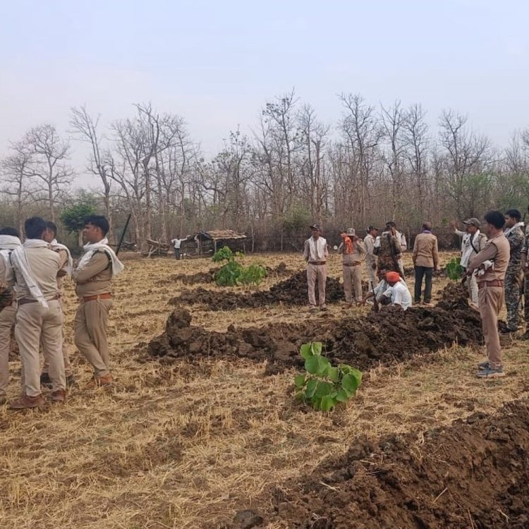 निवाड़ी में वन भूमि से अतिक्रमण हटाया:ओरछा में 10 हेक्टेयर जमीन खाली कराई, जेसीबी से बागड़ ढहाई