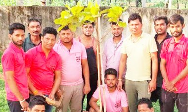 युवक दे रहे हरियाली का संदेश