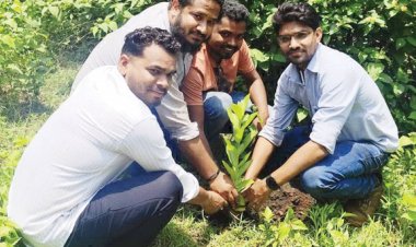 एनएमडीसी किरंदुल एसपी-1 के कर्मियों ने किया पौधारोपण, दिया पर्यावरण संरक्षण का संदेश