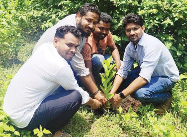 एनएमडीसी किरंदुल एसपी-1 के कर्मियों ने किया पौधारोपण, दिया पर्यावरण संरक्षण का संदेश
