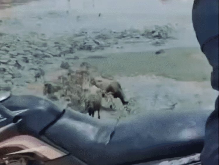 टीकमगढ़ में युवक की पिटाई का वीडियो वायरल:महेंद्र सागर तालाब के पास आधा दर्जन युवकों ने की मारपीट, पुलिस जांच में जुटी