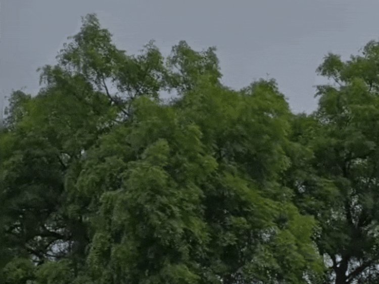 बैतूल में 11 जुलाई को भारी बारिश का अलर्ट:24 घंटे में 8 इंच बारिश होने की संभावना; 12 जुलाई से मौसम में होगा बदलाव