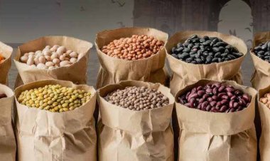 भारत के टॉप दाल उत्पादक राज्यों की लिस्ट: UP 5वें नंबर पर, जानें नंबर 1 और 2