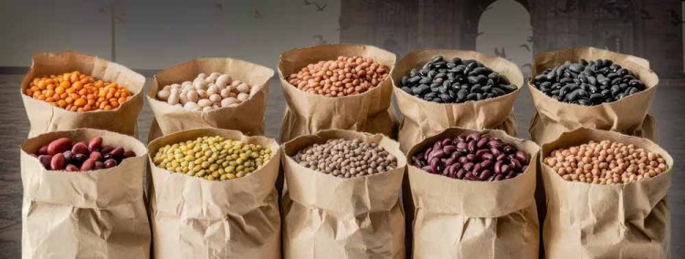 भारत के टॉप दाल उत्पादक राज्यों की लिस्ट: UP 5वें नंबर पर, जानें नंबर 1 और 2