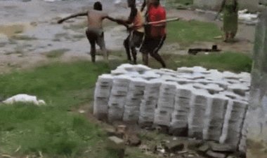 सीधी के तेंदुआ गांव में मजदूर पर डंडों से हमला:ईट-भट्टे पर काम करने वाले तीन मजदूरों ने की मारपीट; मामले में जांच शुरू