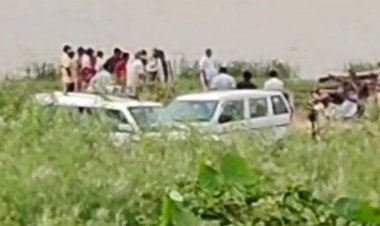 सीधी के सोन वन्य अभयारण्य में नर घड़ियाल की मौत:चंबल से लाए गए घड़ियाल का रेस्क्यू; 132 नवजात बच्चों की सुरक्षा चिंताजनक