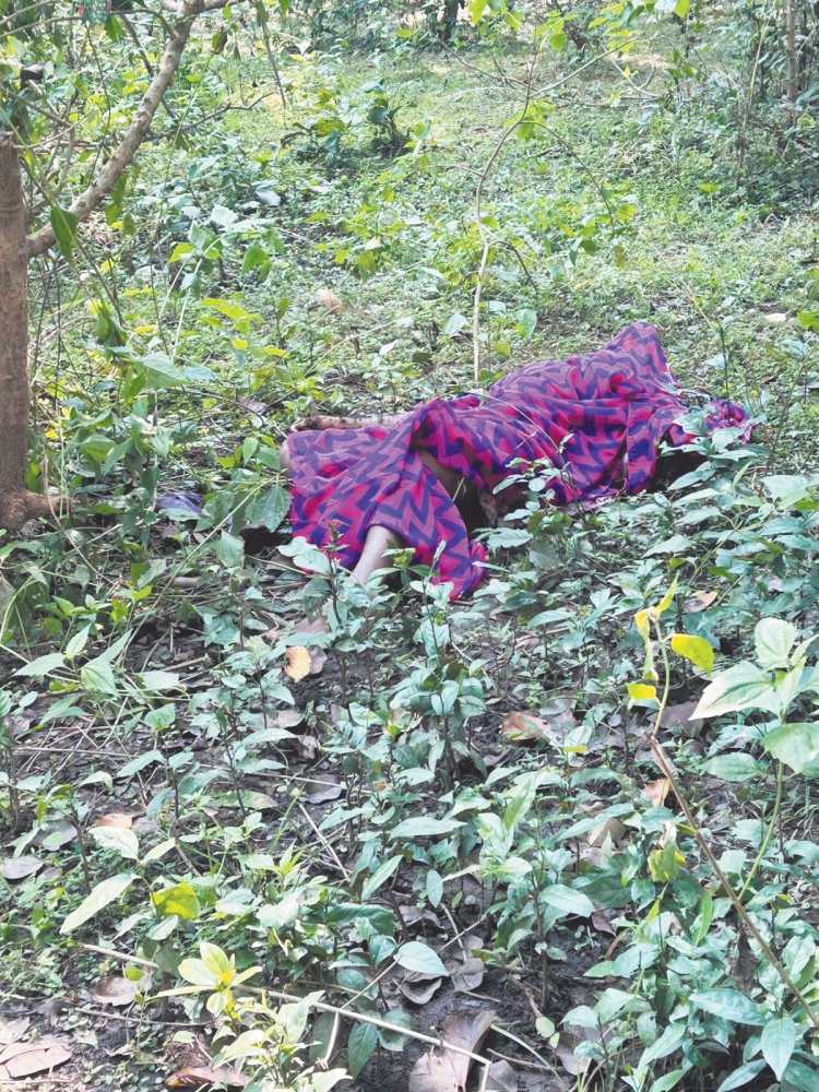 जंगल में युवती की संदिग्ध हालत में मिली लाश