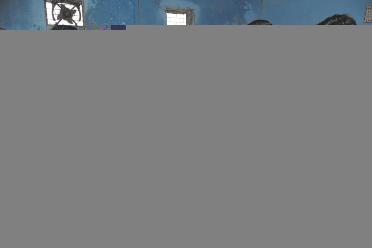 कलेक्टर ने किया सहकारी समिति सिरसाखुर्द, करंजा-भिलाई, कोडिय़ा और अहिवारा का आकस्मिक निरीक्षण