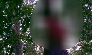 शहडोल में पेड़ से लटका मिला महिला का शव:गोहपारू थाना प्रभारी बोले- सास से झगड़े के बाद लगाई फांसी