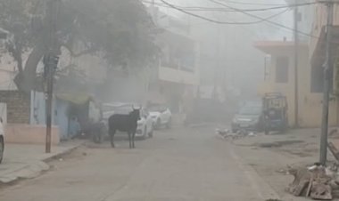 ग्वालियर में कपकपाने वाली सर्दी:कोहरे ने बिगाड़ी ट्रेनों की चाल, दिन में वाहन चालकों को जलानी पड़ रहीं हेड लाइट्स; दूसरे दिन भी कोल्ड-डे