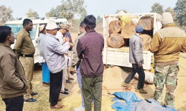 साल लकड़ी का अवैध परिवहन, जब्त
