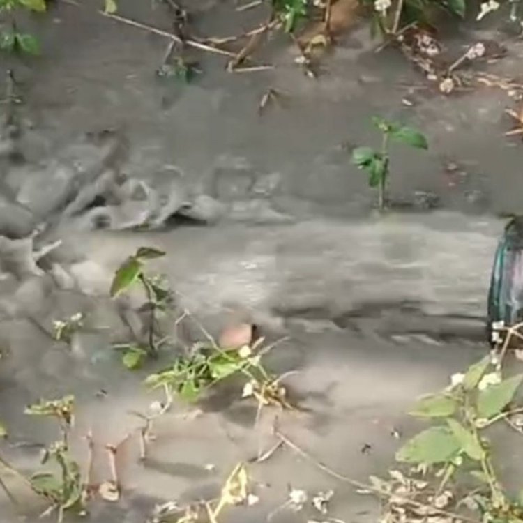 देवास शहर की 19 पानी टंकियों की सफाई शुरू:पार्षद प्रतिनिधि ने मटमैले पानी पर उठाए सवाल, लगाए गंभीर आरोप