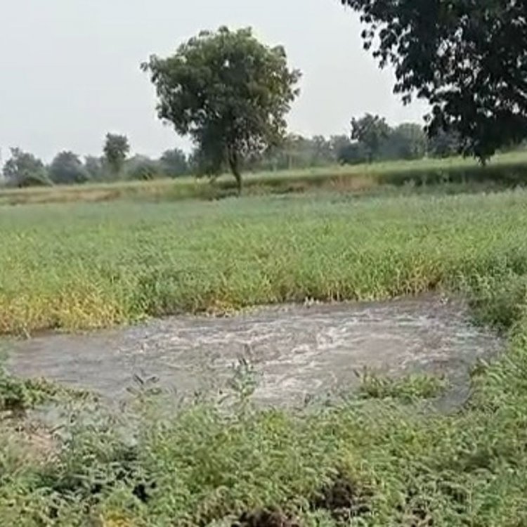 खरगोन में NVDA की पाइपलाइन फटी, 100 एकड़ फसल जलमग्न:पककर तैयार गेहूं-चने बर्बाद; 15 दिन में दूसरी बार हुआ हादसा